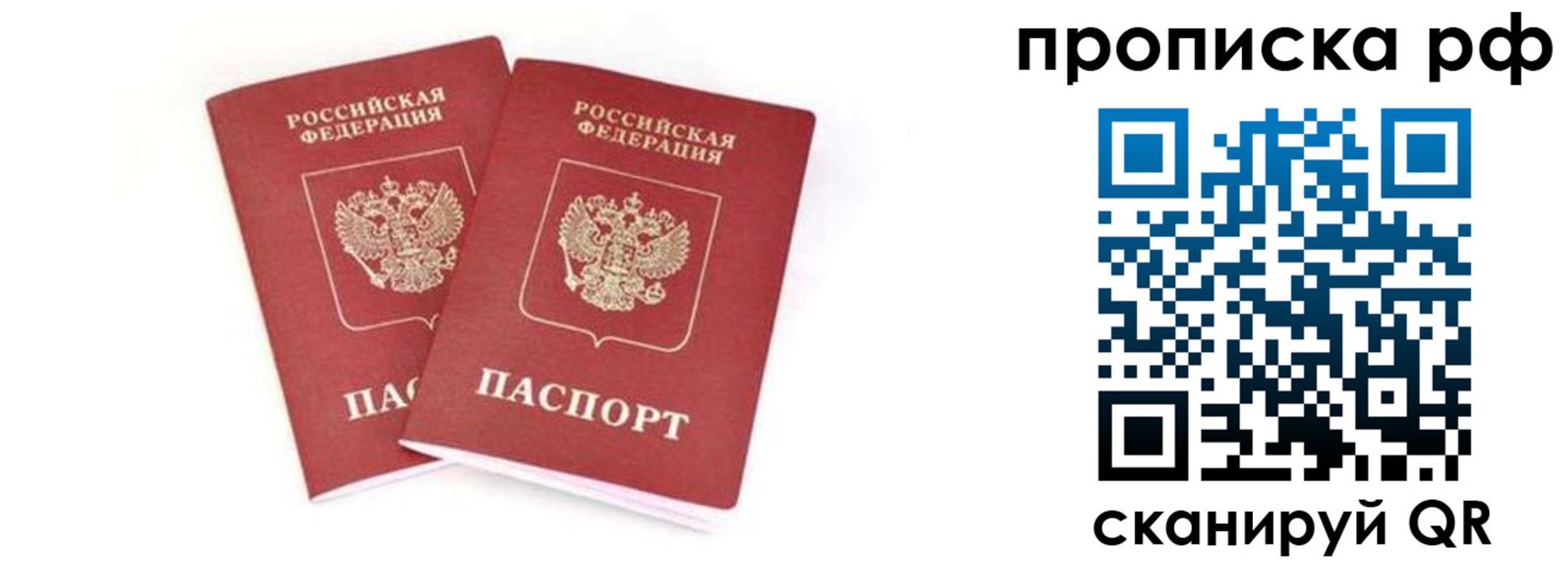 прописка поиск в Камешково